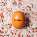 Egg20_25