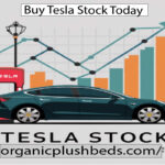 Tesla Stock