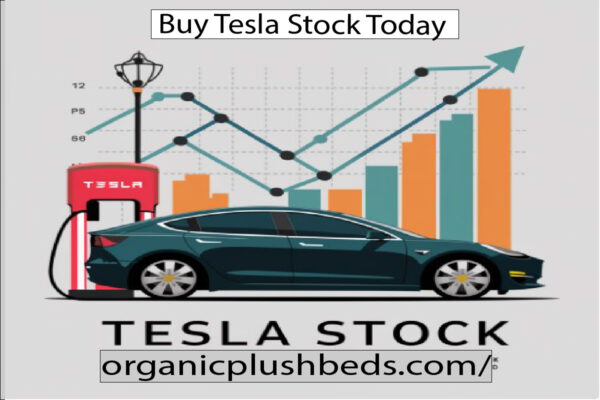 Tesla Stock