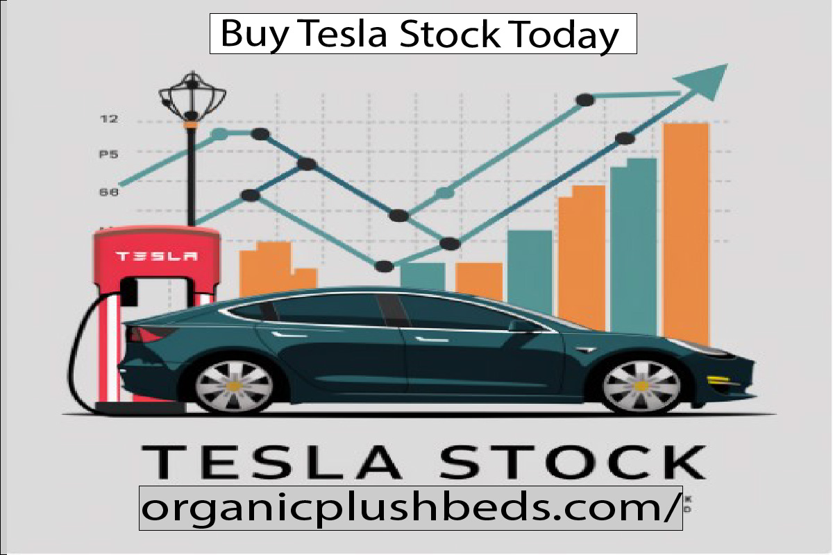 Tesla Stock